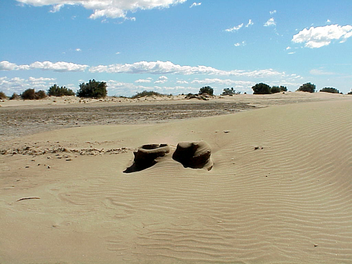 2004-08 Céline Camargue 012.JPG